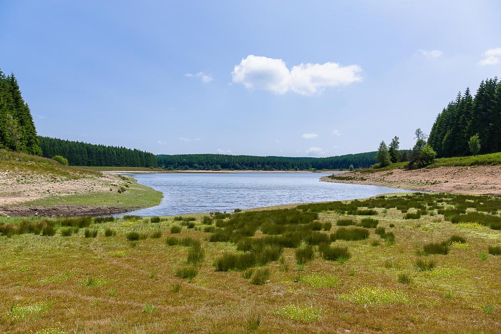 Le Jas Du Mas Hotel Saint-Anthème Екстериор снимка